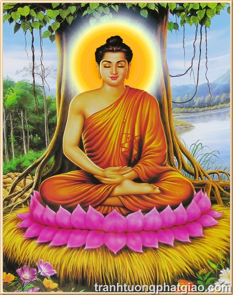 Bổn Sư Thích Ca Mâu Ni Phật (2267)